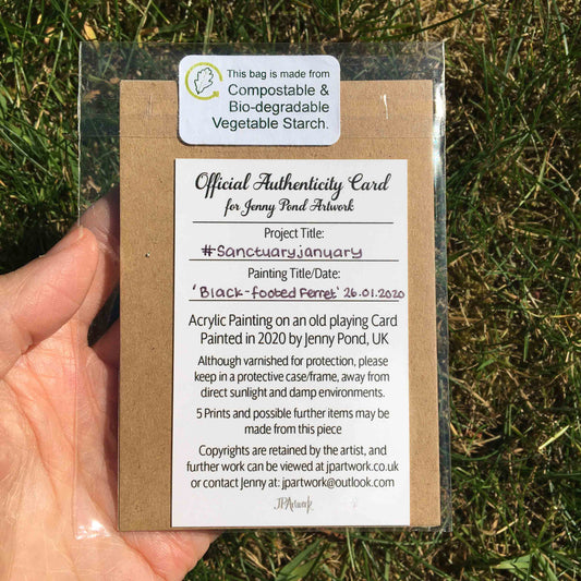 Black-footed Ferret | Original Fine Art Painting original painting JPArtwork Jenny Pond