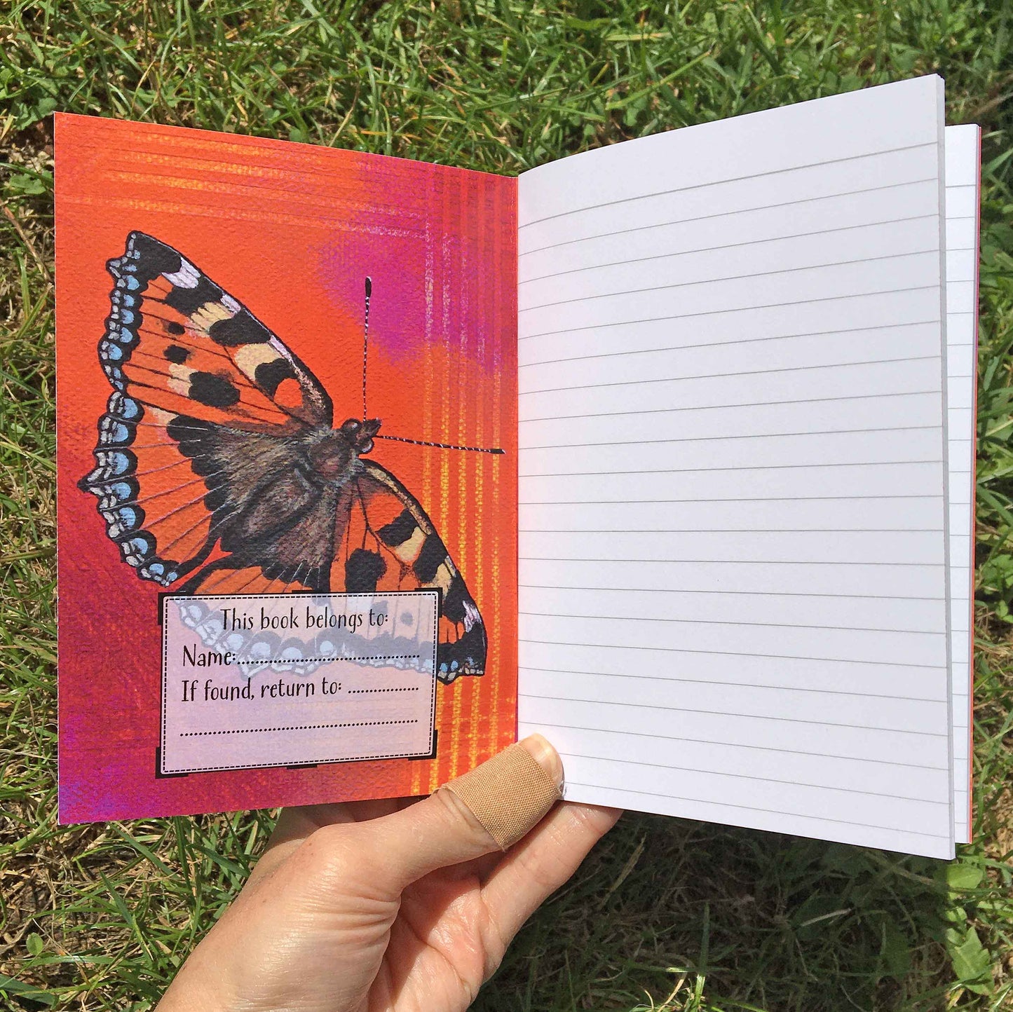 Butterfly Journal | A6, Plain or Lined journal Lined JPArtwork Jenny Pond