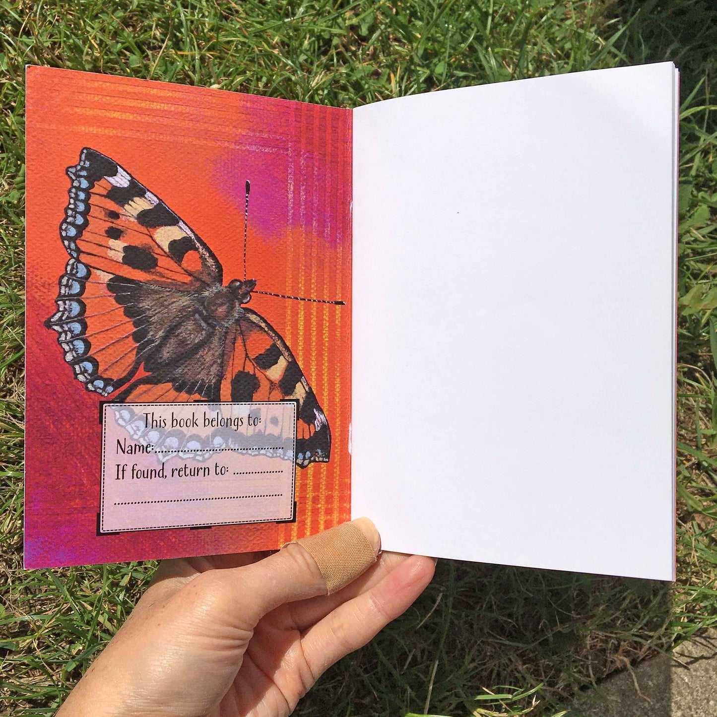 Butterfly Journal | A6, Plain or Lined journal Plain JPArtwork Jenny Pond