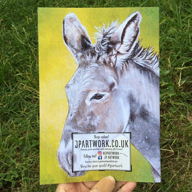 Donkey Journal | A5, Plain or Lined journal JPArtwork Jenny Pond