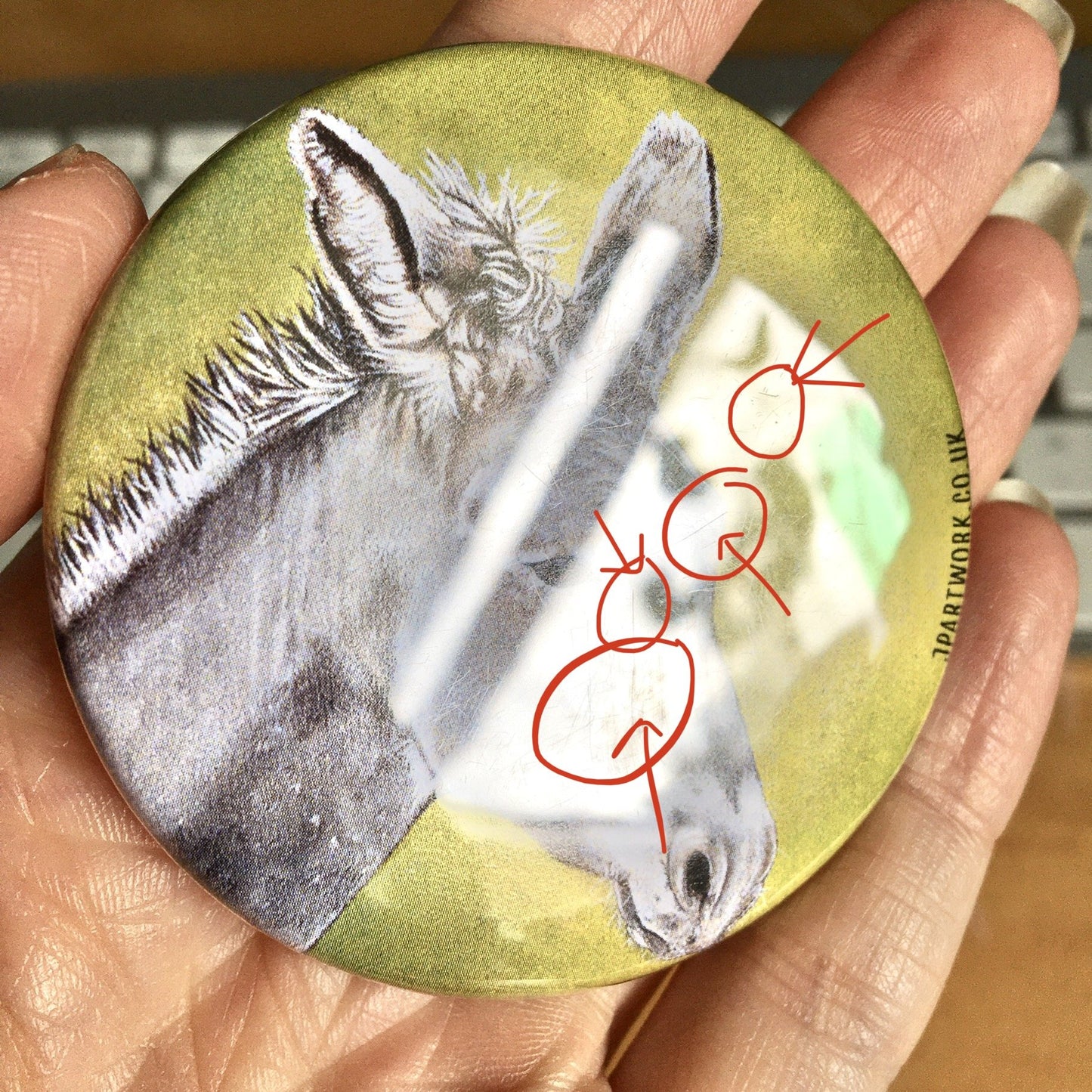 Donkey magnet