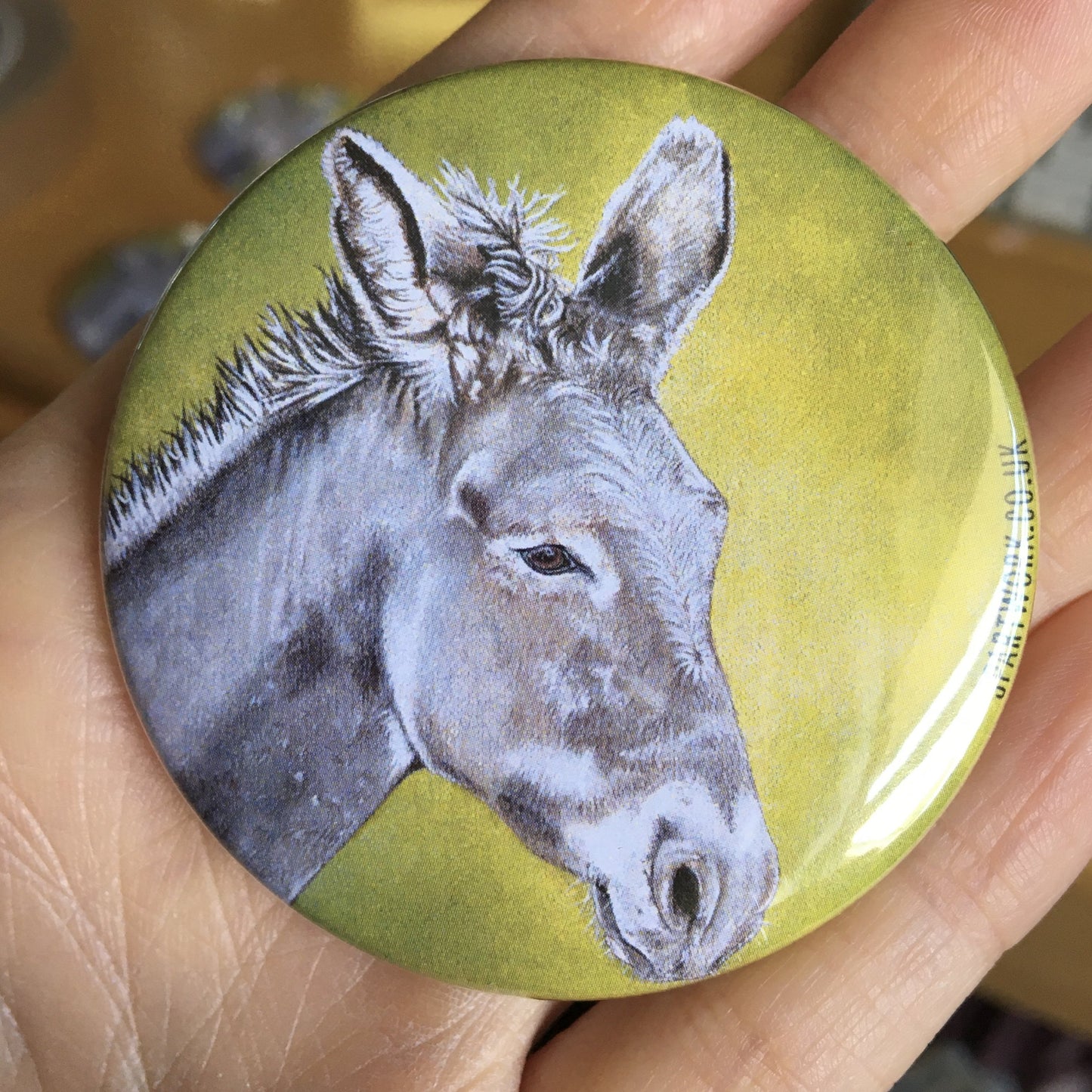 Donkey Magnet