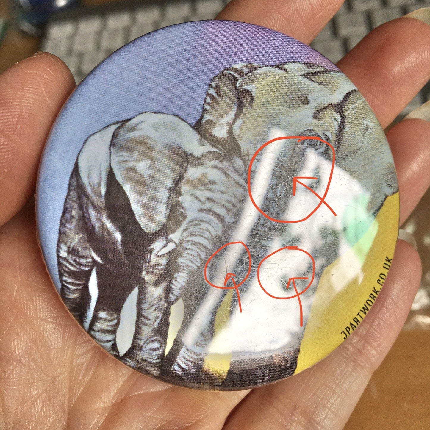 Elephant Magnet