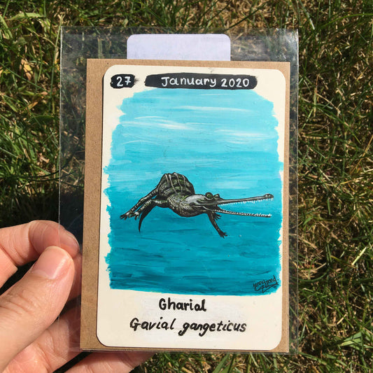 Gharial Original Painting by Jenny Pond, JPArtwork