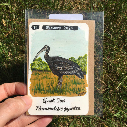 Giant Ibis Original Painting by Jenny Pond, JPArtwork