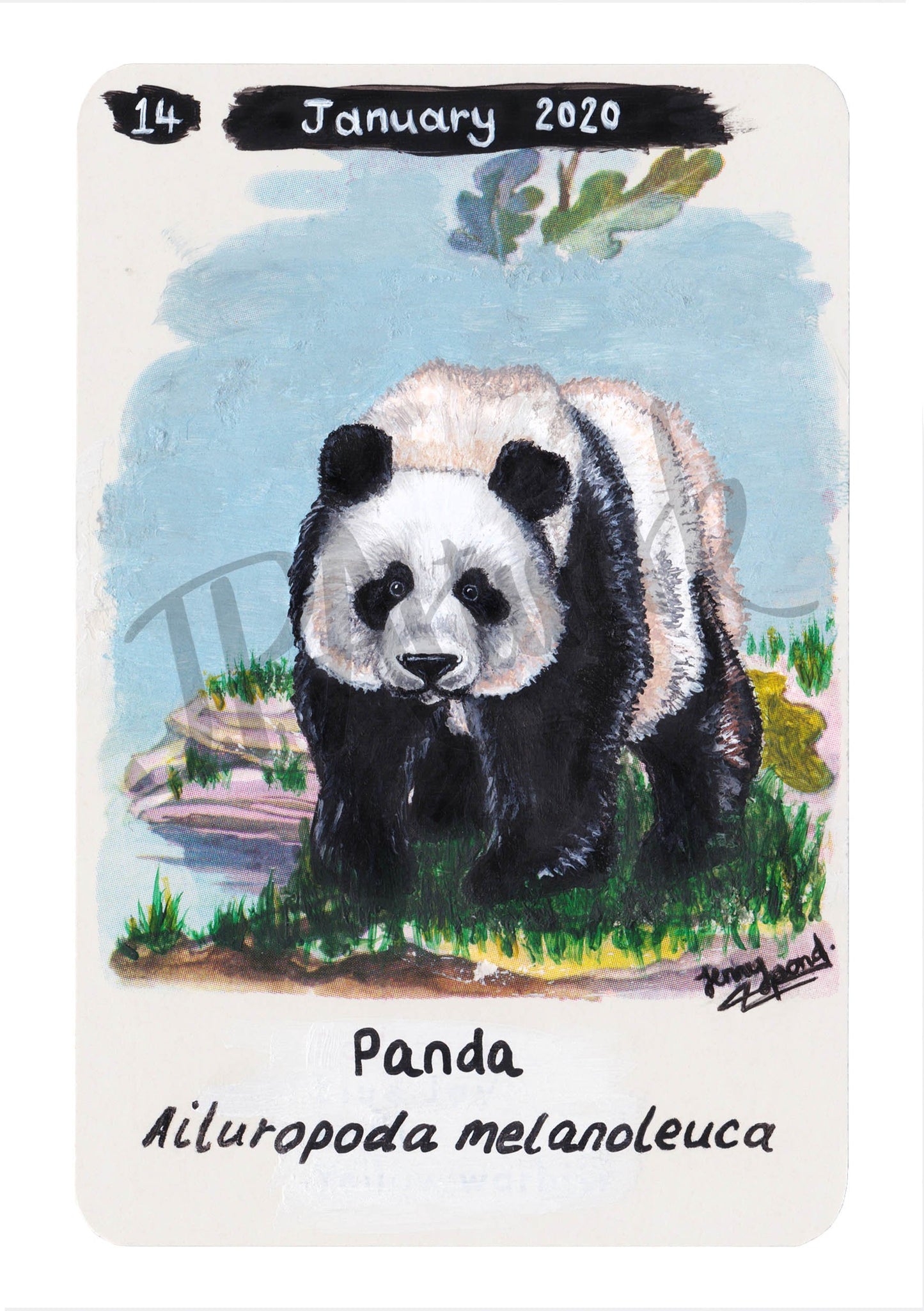 Giant Panda Limited Edition A5 Hemp Paper Print by Jenny Pond, JPArtwork
