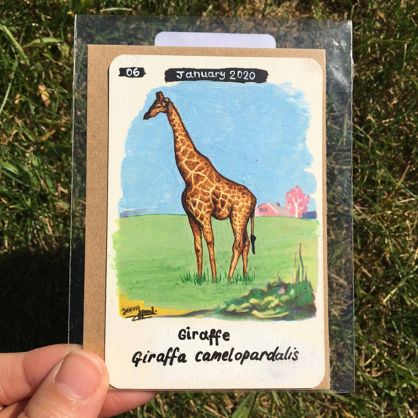 Giraffe Original Acrylic Painting by Jenny Pond, JPArtwork