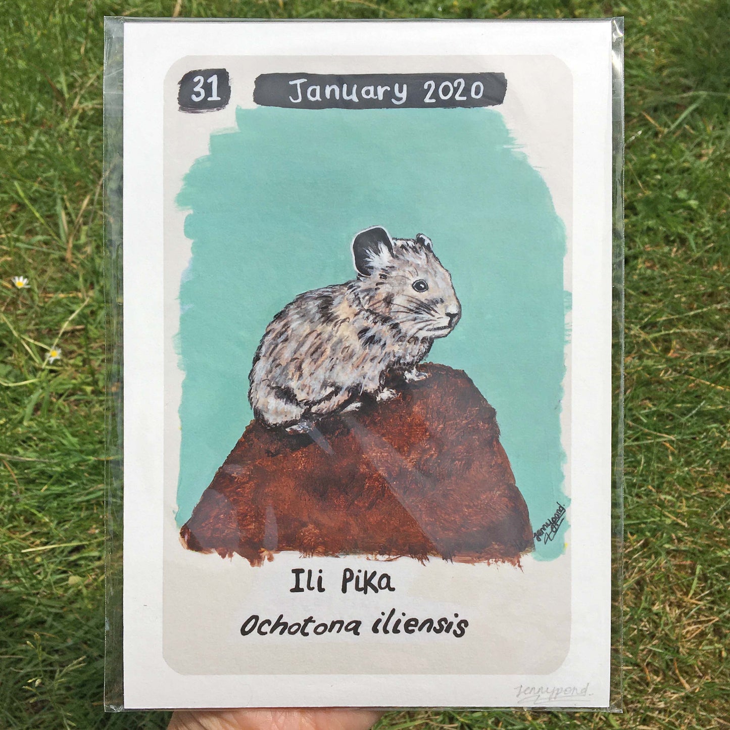 Ili Pika Limited Edition A5 Hemp Paper Print by Jenny Pond, JPArtwork