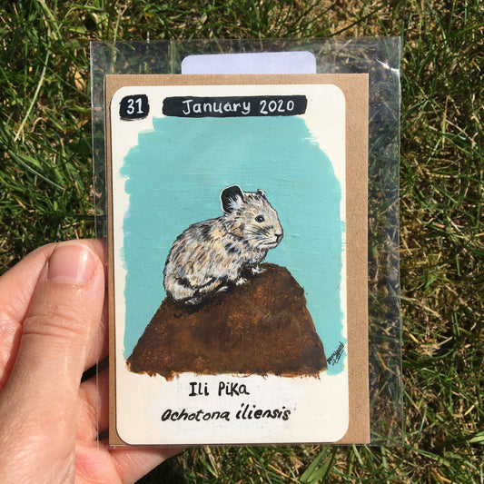 Ili Pika Original Painting by Jenny Pond, JPArtwork