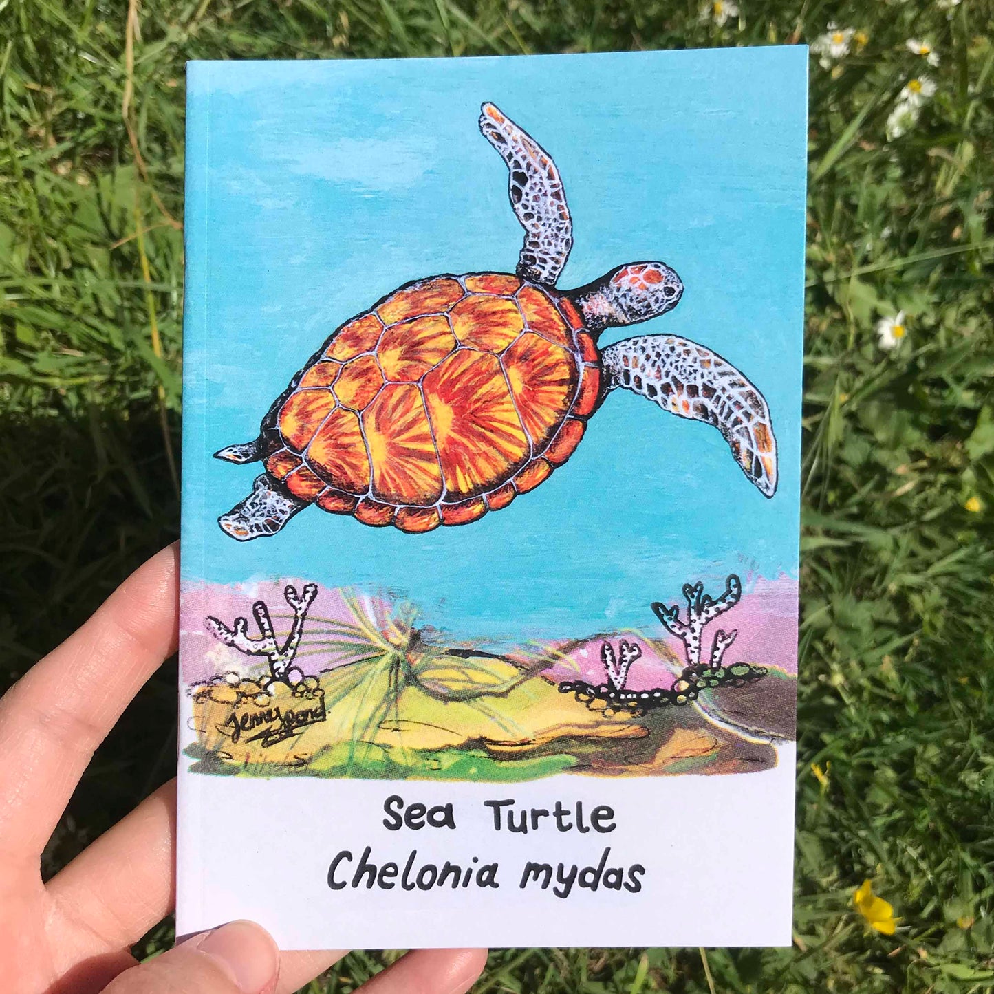 Sea Turtle A6 Journal Front Cover