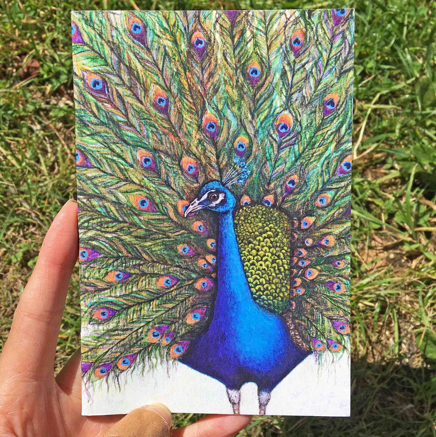 Peacock A6 Journal Front Cover