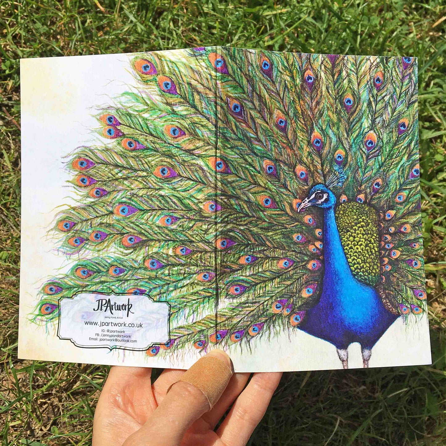 Peacock A6 Journal Back Cover