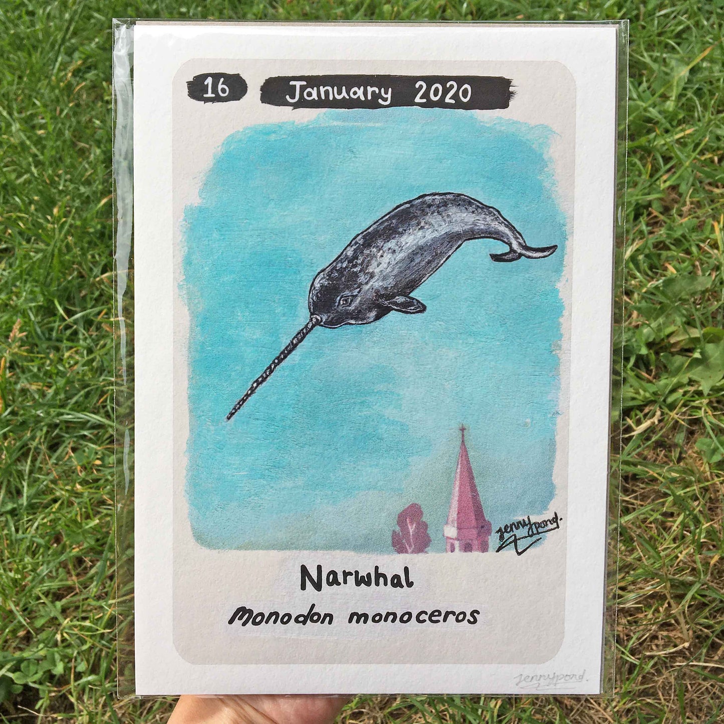 Narwhal | Art Print art print JPArtwork Jenny Pond