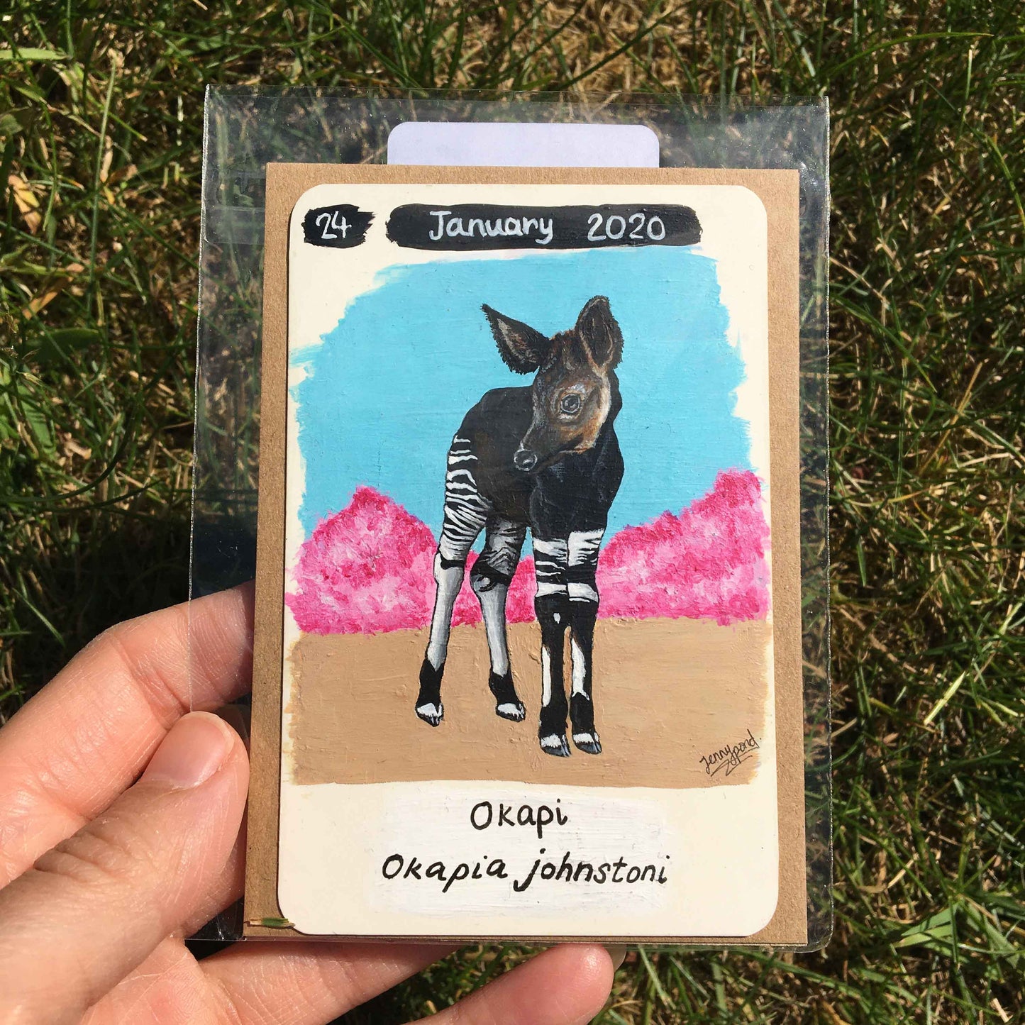 Okapi Original Acrylic Painting by Jenny Pond, JPArtwork