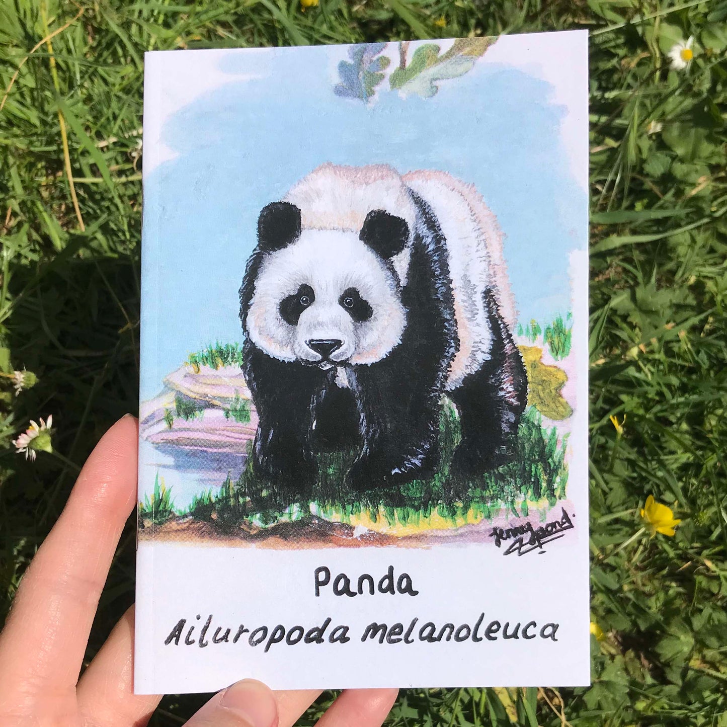 Panda Journal | A6, Plain or Lined journal JPArtwork Jenny Pond