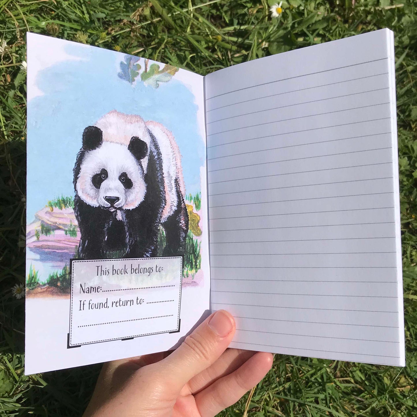 Panda Journal | A6, Plain or Lined journal Lined JPArtwork Jenny Pond