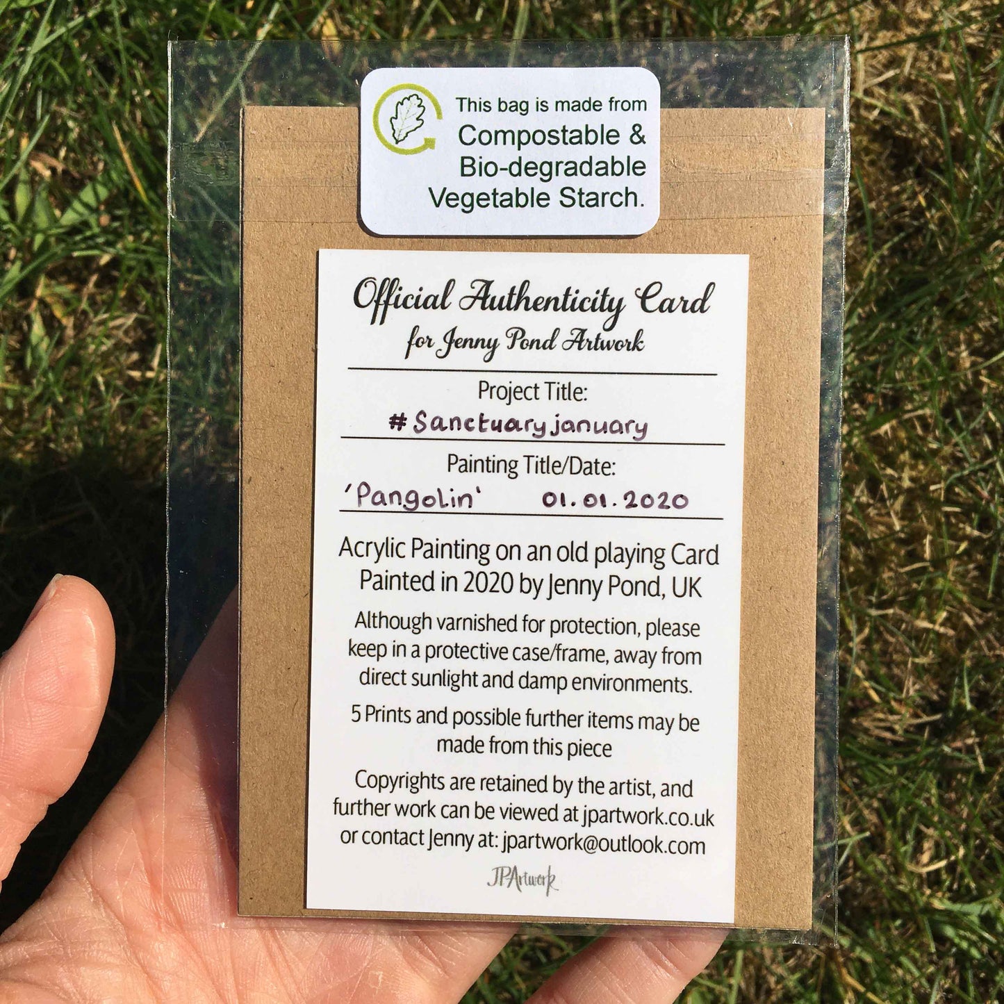 Pangolin | Original Fine Art Painting original painting JPArtwork Jenny Pond