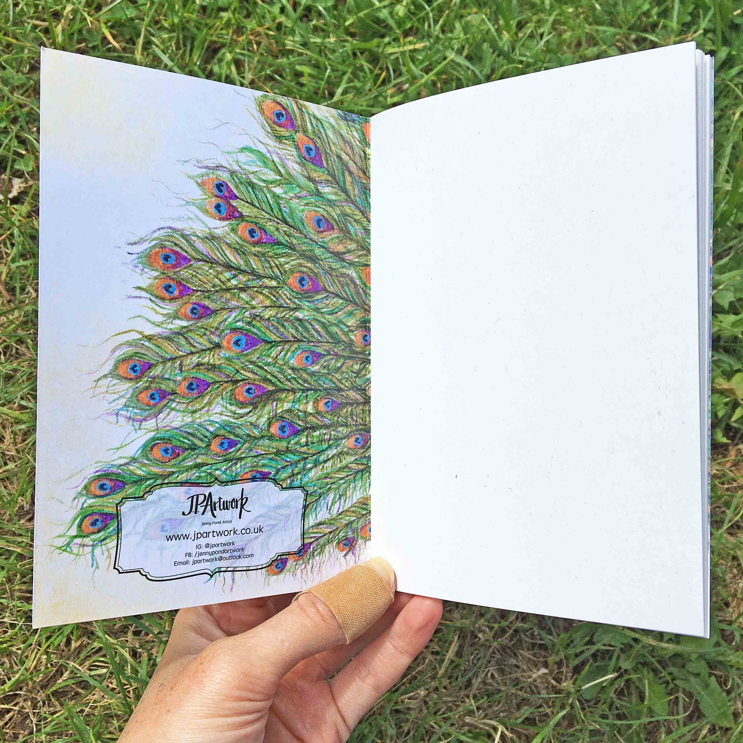 Peacock Journal | A6, Plain or Lined journal Plain JPArtwork Jenny Pond