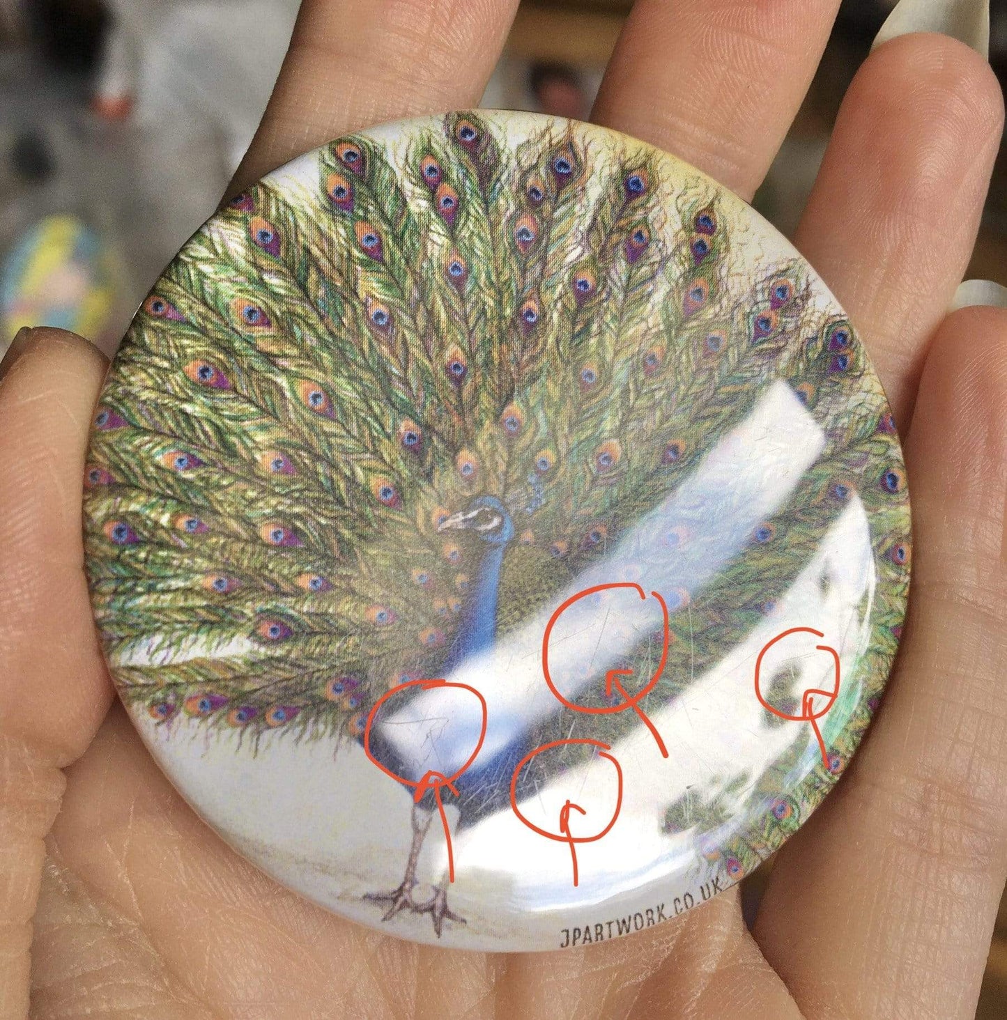 Peacock | Magnet, 58mm | SECONDS (Minor Imperfections) magnet JPArtwork Jenny Pond