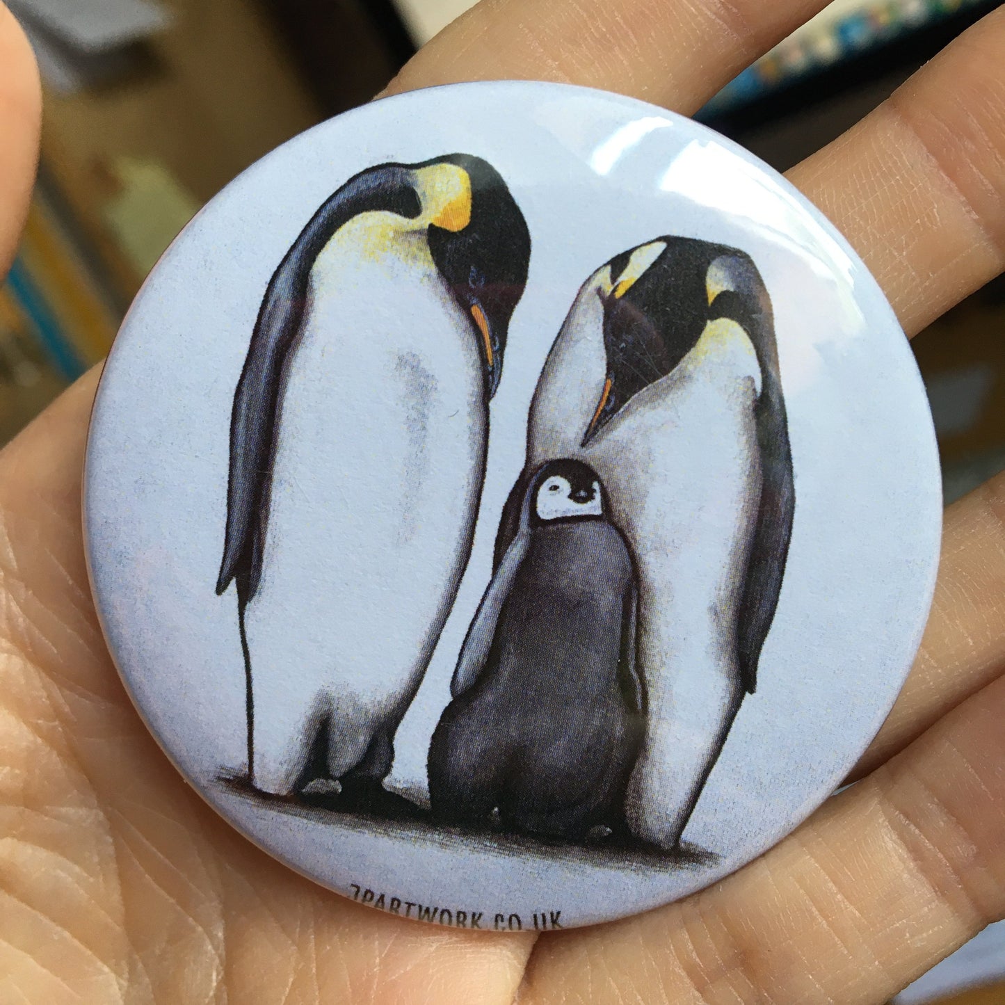 Penguin Magnet