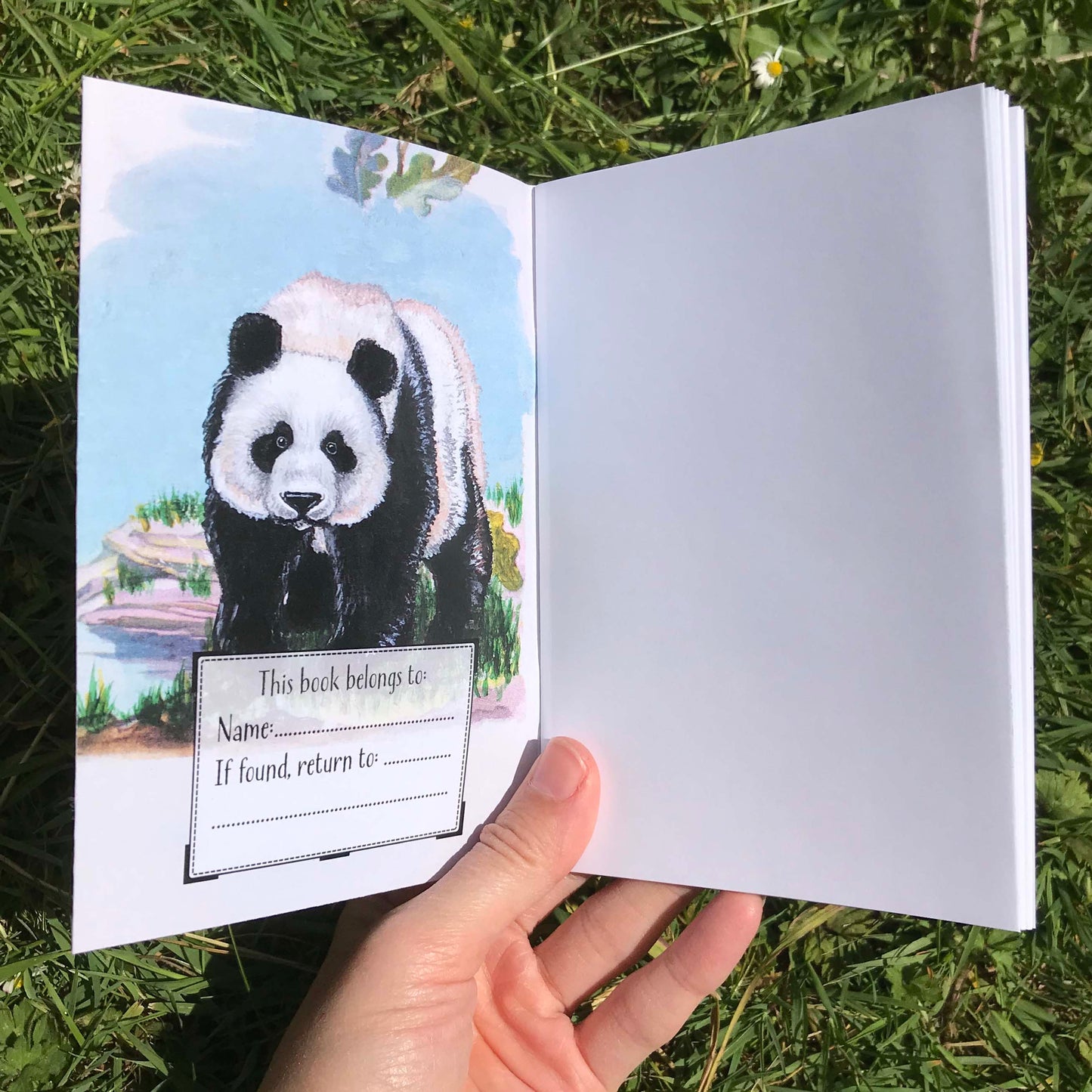 Panda A6 Journal Plain Paper
