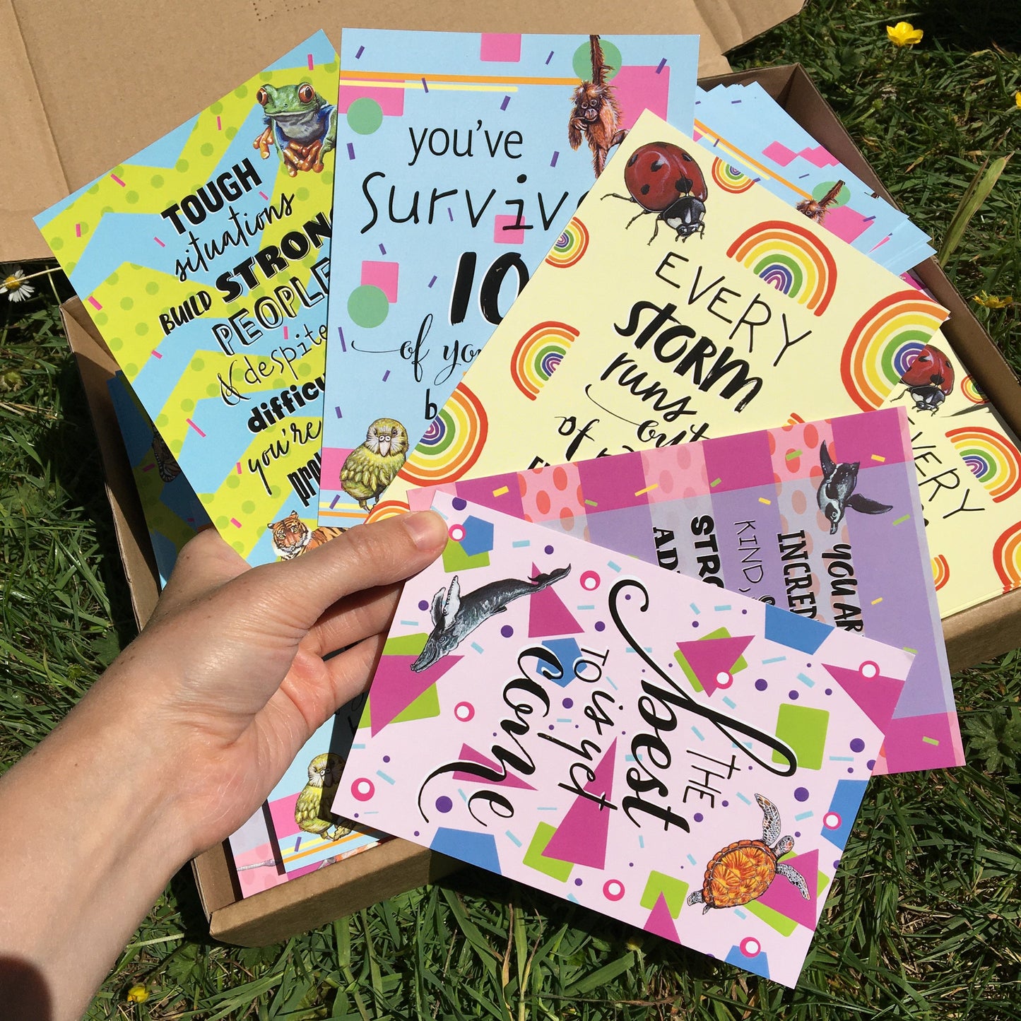 Photo of all 5 Positive Quote Postcards by Jenny Pond