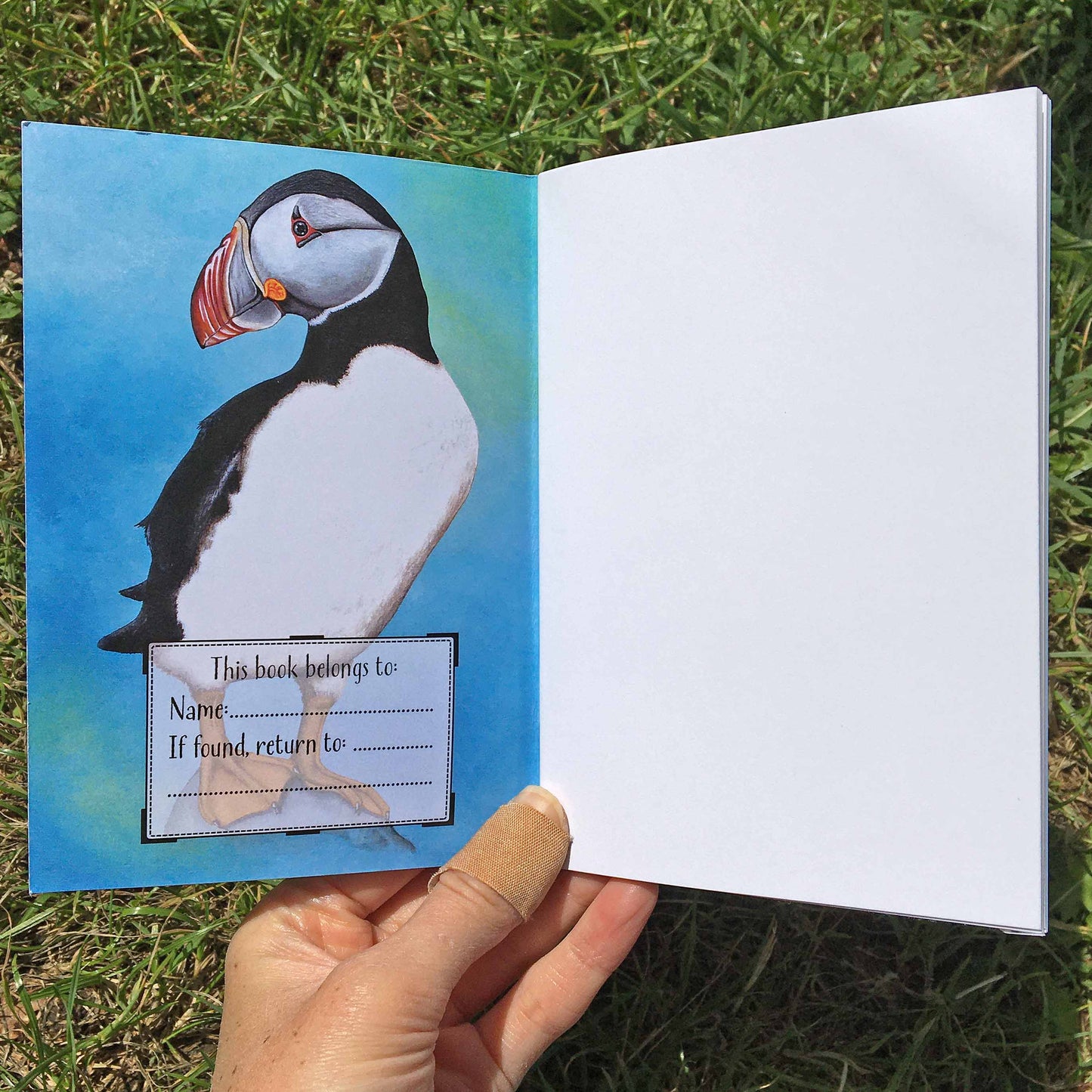 Puffin Journal | A6, Plain or Lined journal Plain JPArtwork Jenny Pond