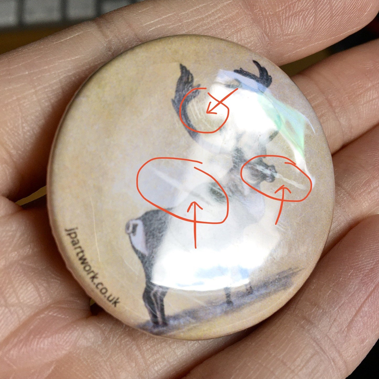 Reindeer Magnet