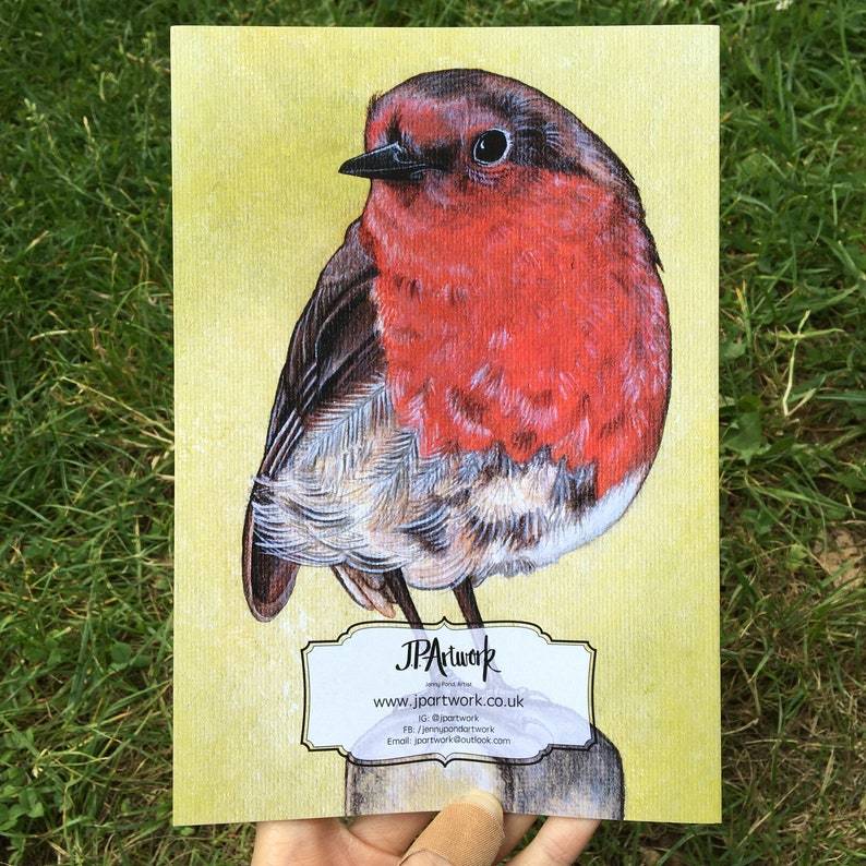 Robin Journal | A5, Plain or Lined journal JPArtwork Jenny Pond