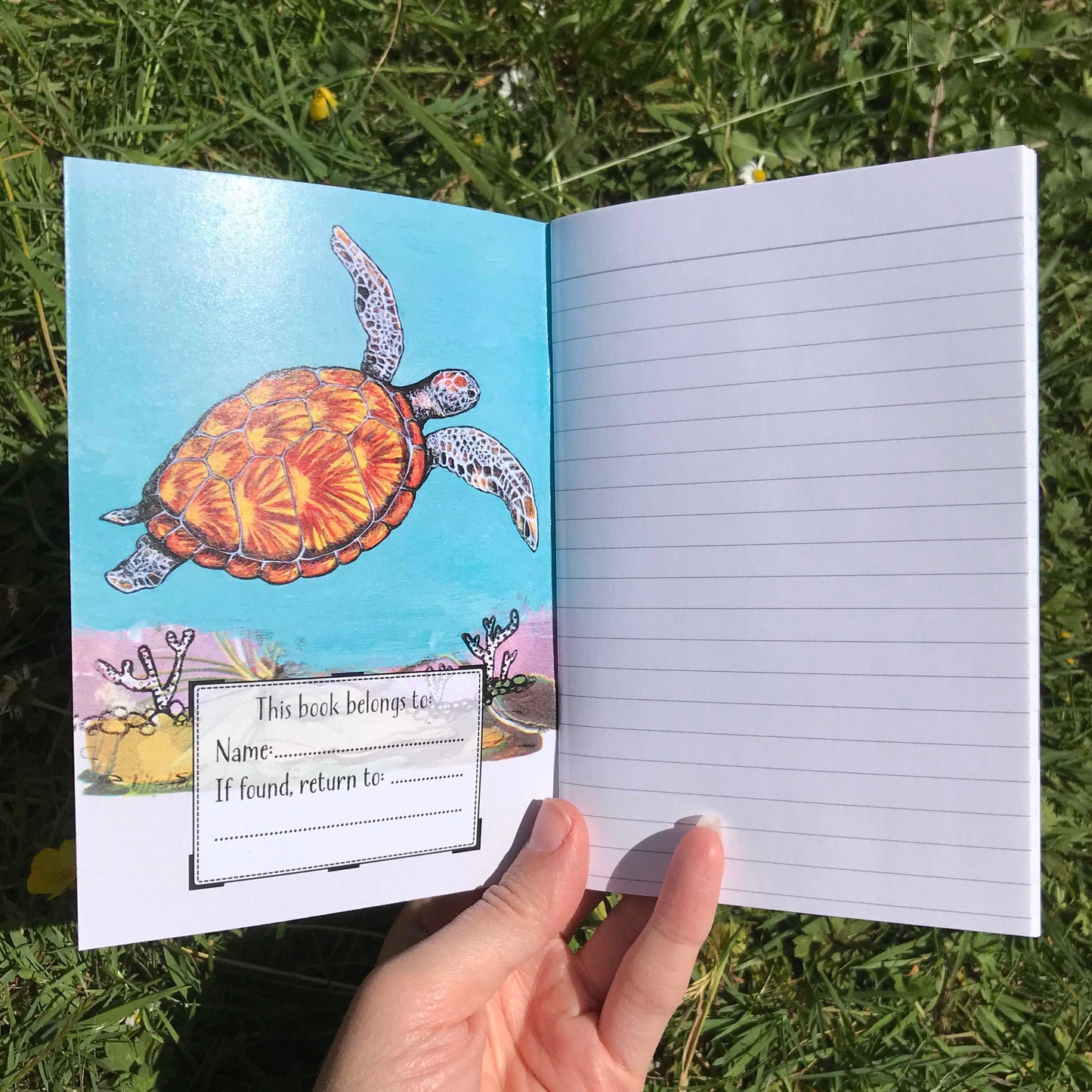 Sea Turtle Journal | A6, Plain or Lined journal Lined JPArtwork Jenny Pond