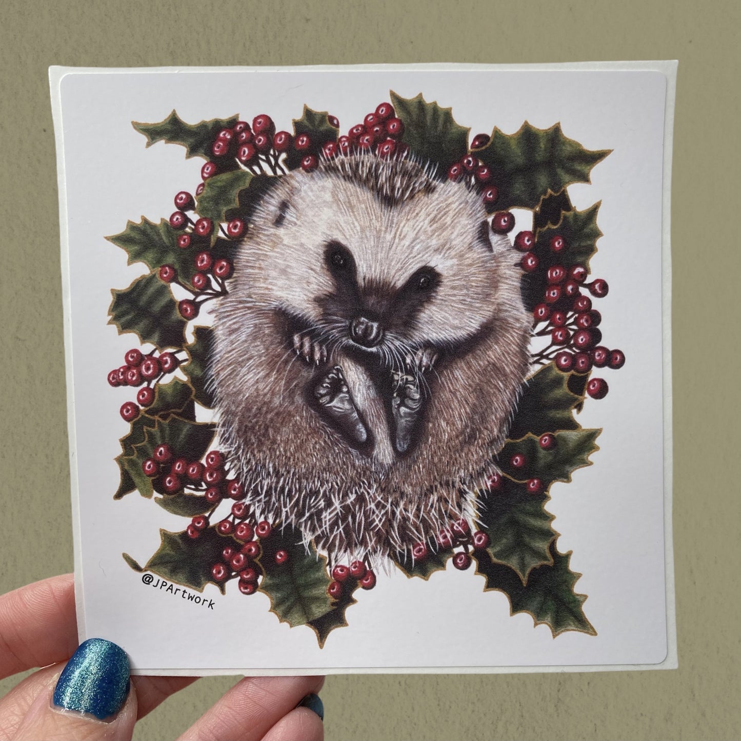 Hedgehog Vinyl Sticker by Jenny Pond
