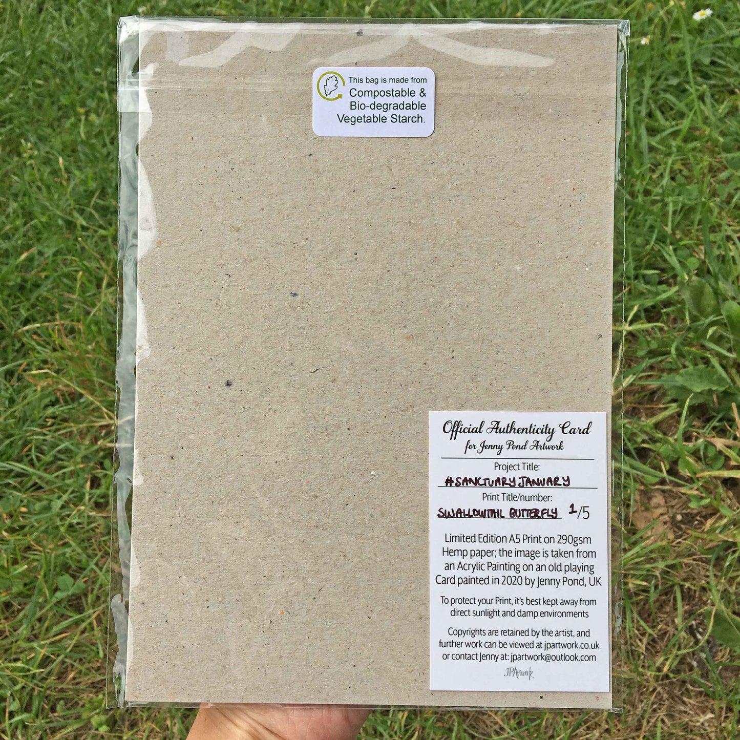 Swallowtail Butterfly | Art Print art print JPArtwork Jenny Pond