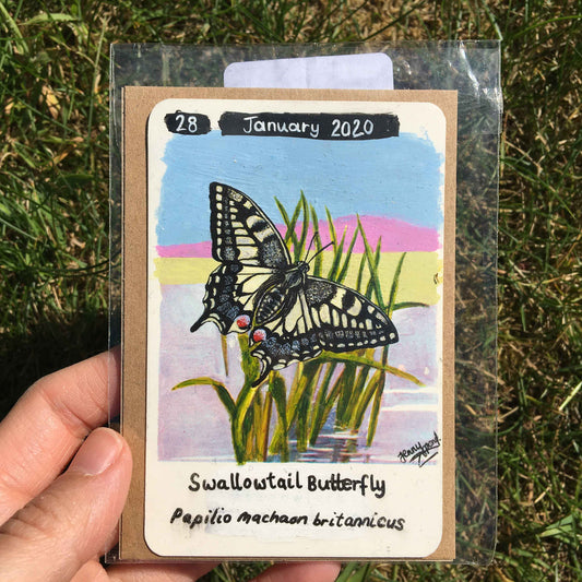 Swallowtail Butterfly Original Painting by Jenny Pond, JPArtwork