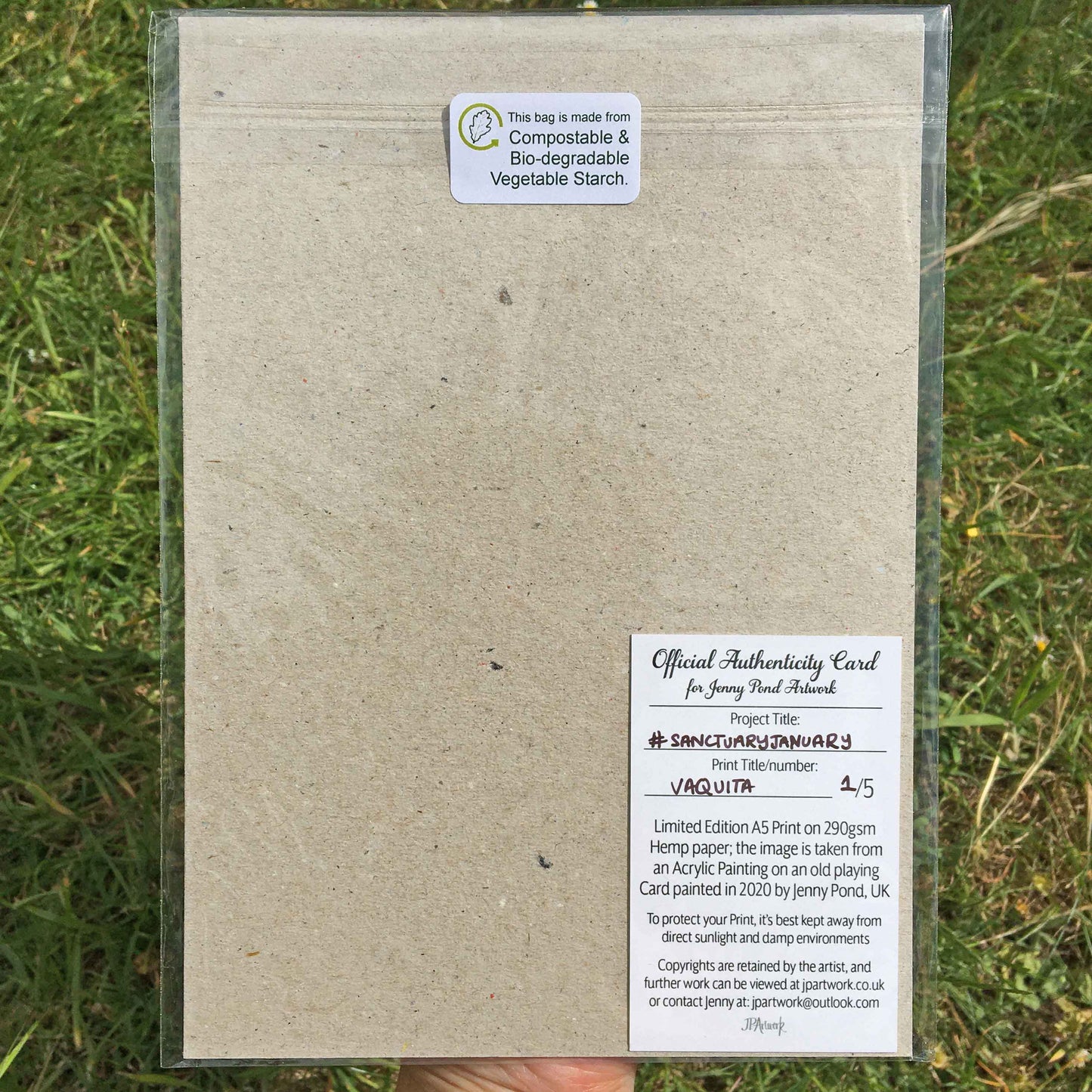 Vaquita | Art Print art print JPArtwork Jenny Pond