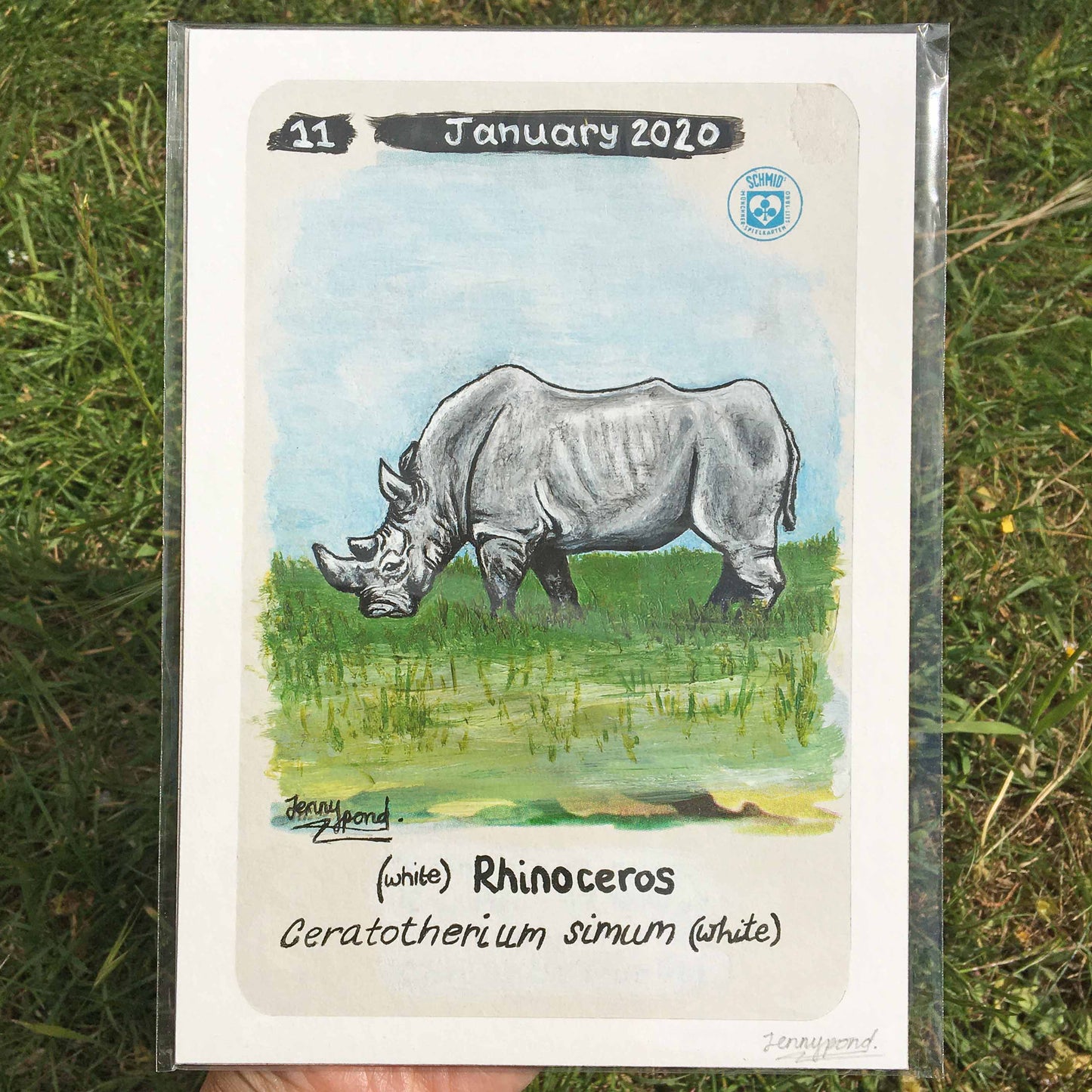 White Rhino | Art Print art print JPArtwork Jenny Pond