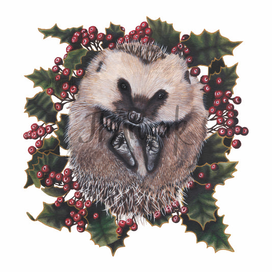Hedgehog Hand Finished 12x12 inch art print by Jenny Pond. Limited Edition archival quality giclee prints.