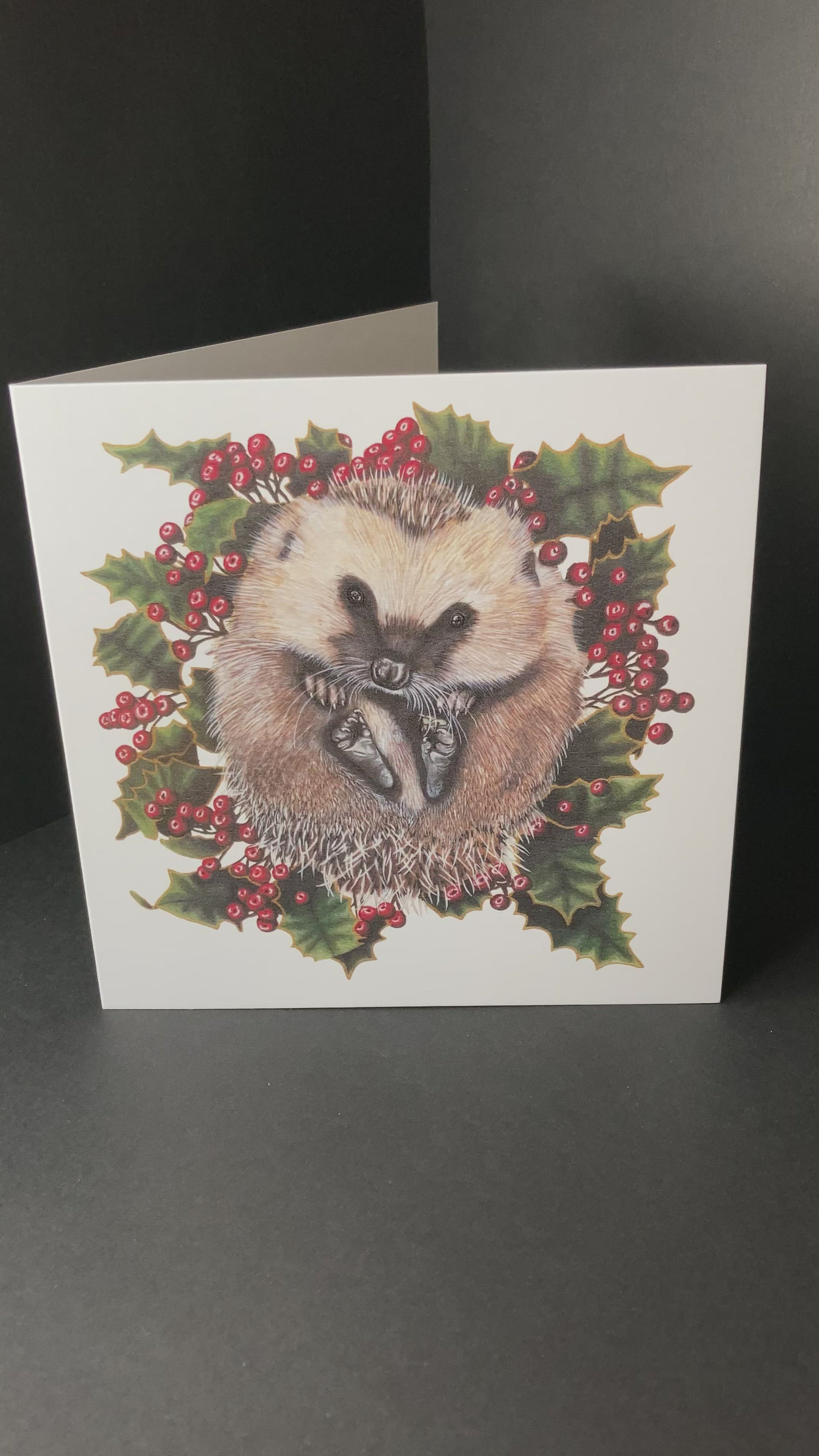 Hedgehog Christmas Greetings Card