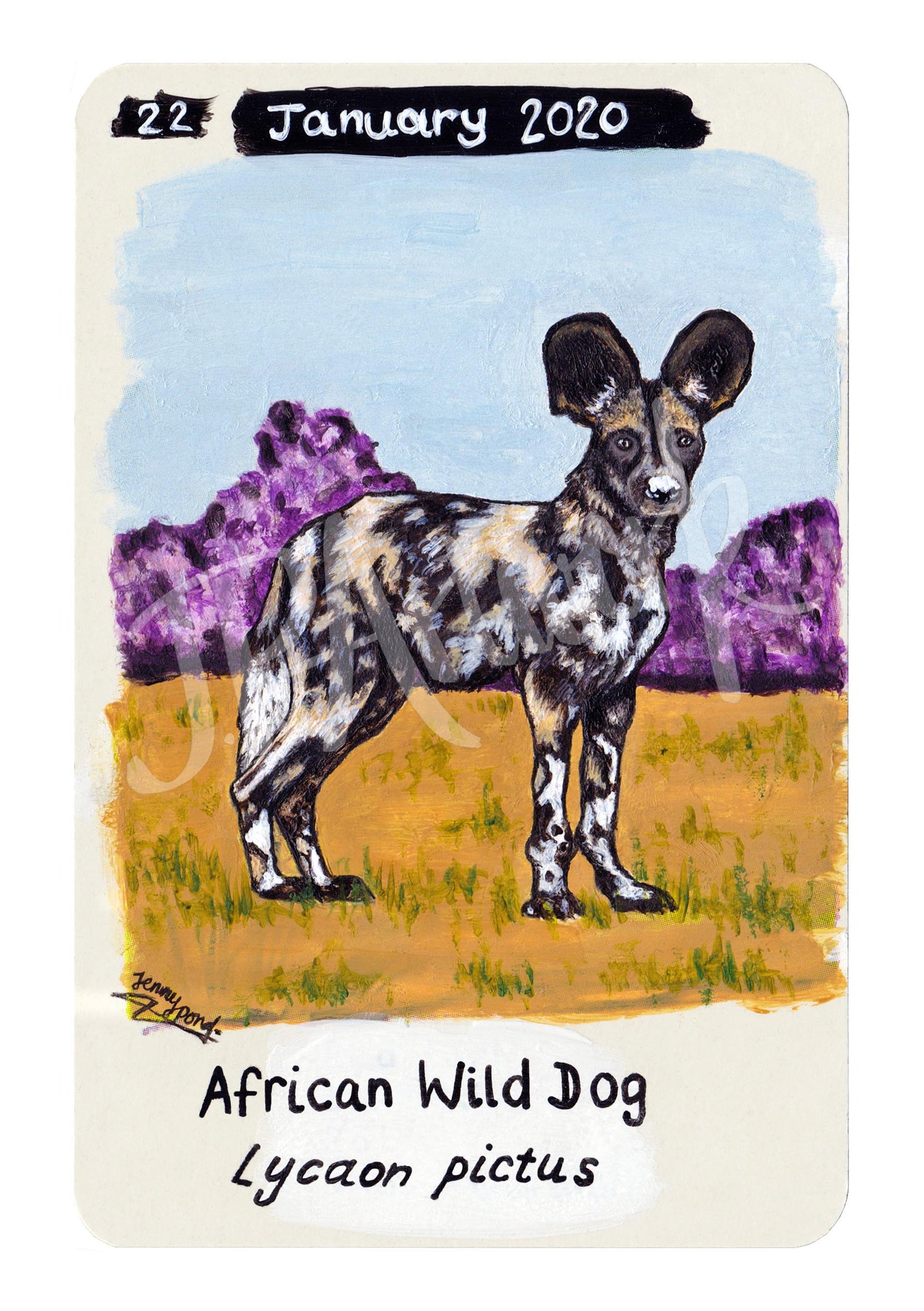 African Wild Dog Limited Edition A5 Hemp Paper Print by Jenny Pond, JPArtwork