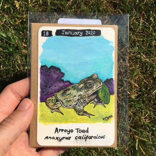 Arroyo Toad Original Painting by Jenny Pond, JPArtwork