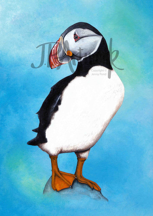 Art Print featuring an Atlantic Puffin on a blue background. Artwork by Jenny Pond, JPArtwork