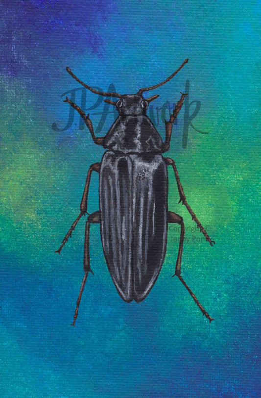 Watermarked image of the official 'Bearded False Darkling Beetle' print from original Acrylic Art by Jenny Pond, JPArtwork