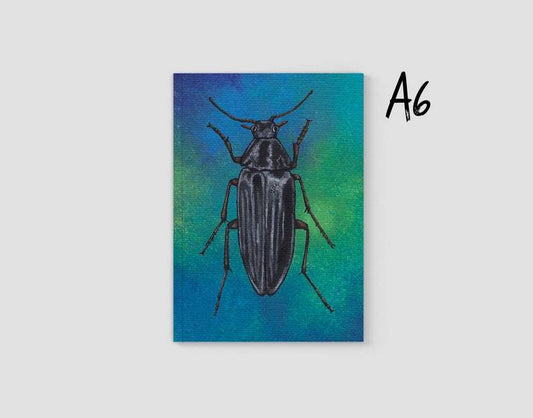 Beetle A6 Journal