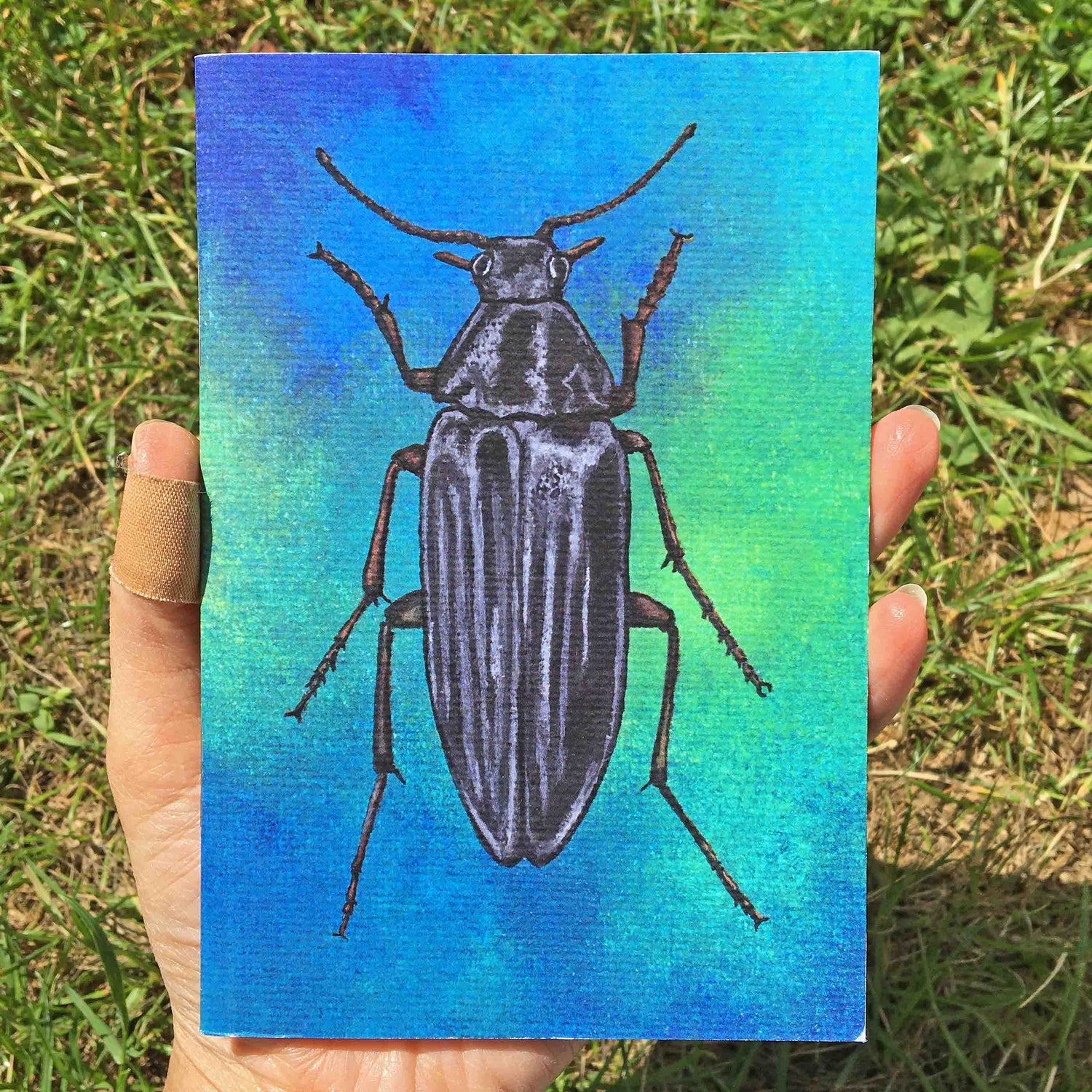 Beetle Journal | A6, Plain or Lined journal JPArtwork Jenny Pond
