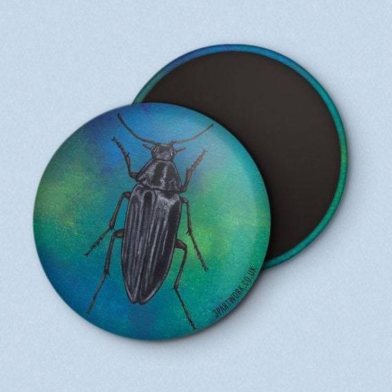 Beetle Magnet