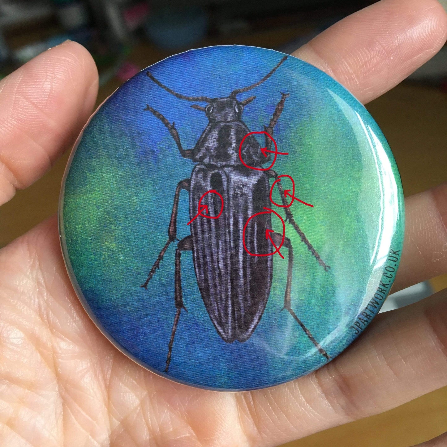 Beetle | Magnet, 58mm | SECONDS (Minor Imperfections) magnet JPArtwork Jenny Pond