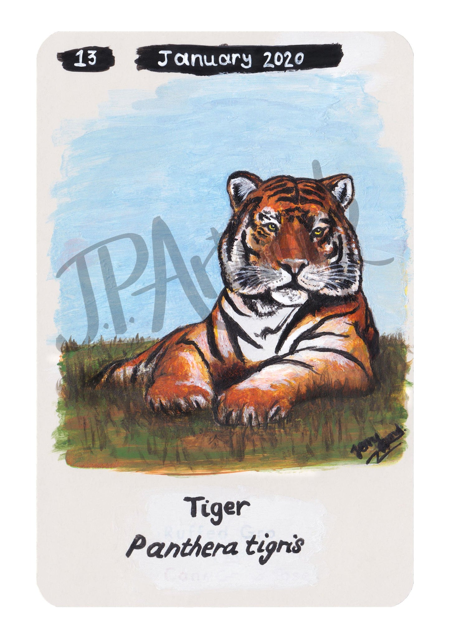 Bengal Tiger Limited Edition A5 Hemp Paper Print by Jenny Pond, JPArtwork