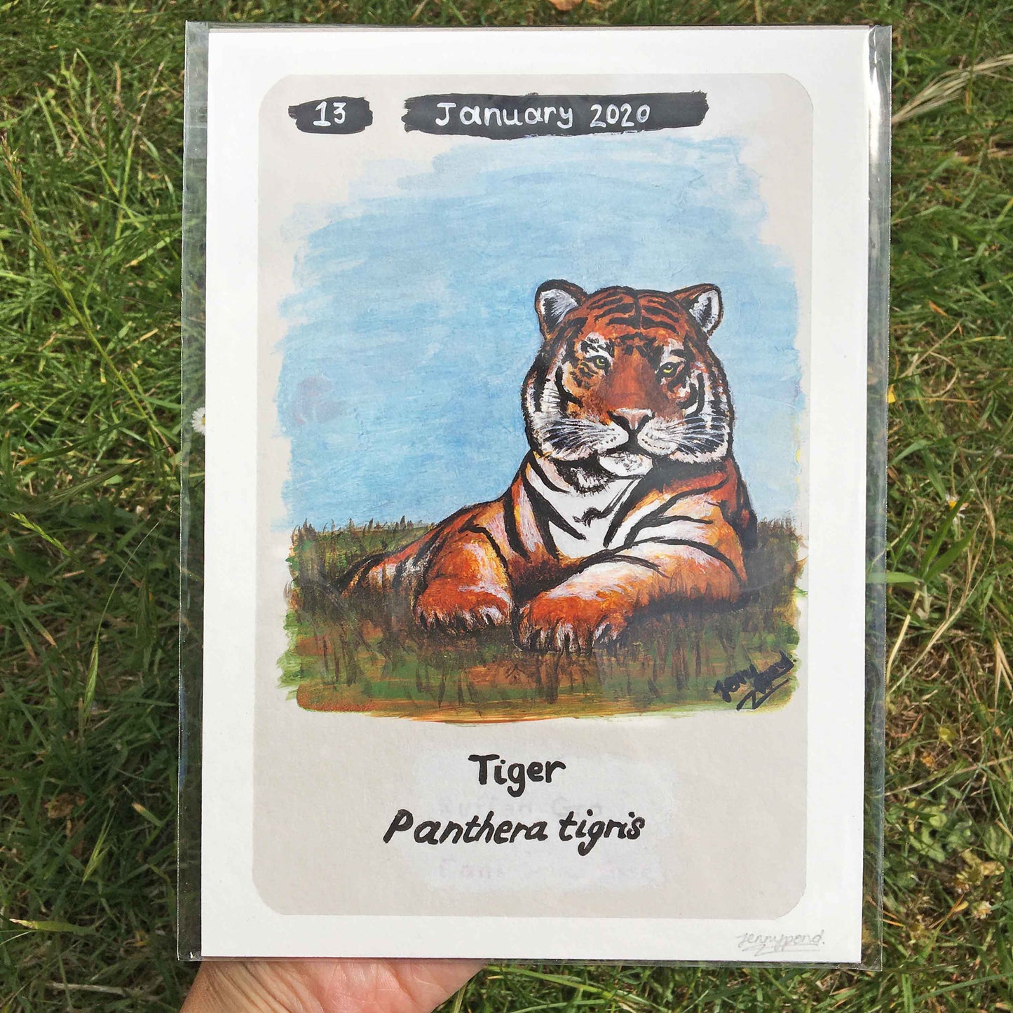 Bengal Tiger | Art Print art print JPArtwork Jenny Pond
