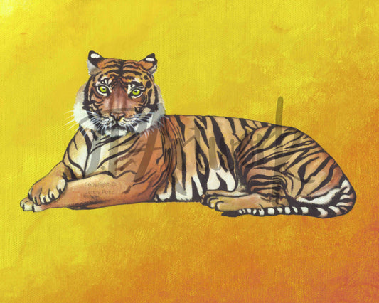 Art Print featuring a Bengal Tiger on an orange and yellow background. Artwork by Jenny Pond, JP Artwork