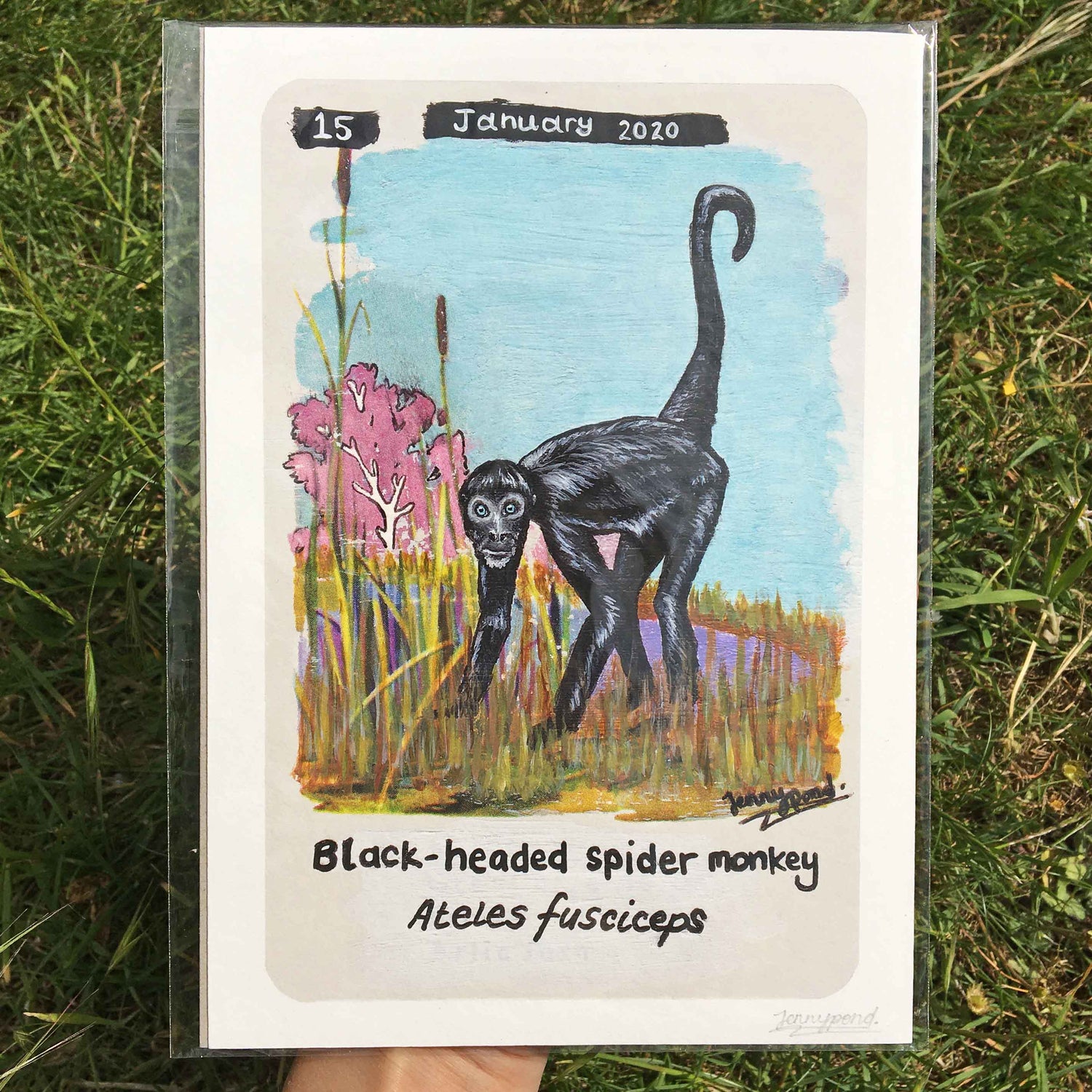 Black Spider Monkey Limited Edition A5 Hemp Paper Print by Jenny Pond, JPArtwork