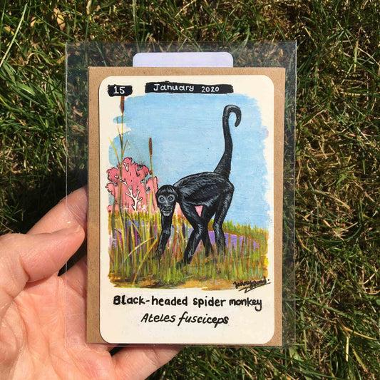 Black-headed Spider Monkey Original Painting by Jenny Pond, JPArtwork